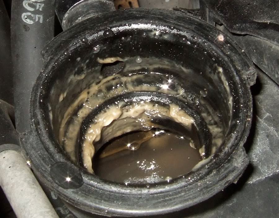 Got tired of chocolate milk coolant. . . LS1TECH Camaro and